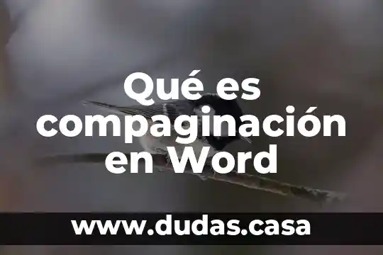 Qué es compaginación en Word