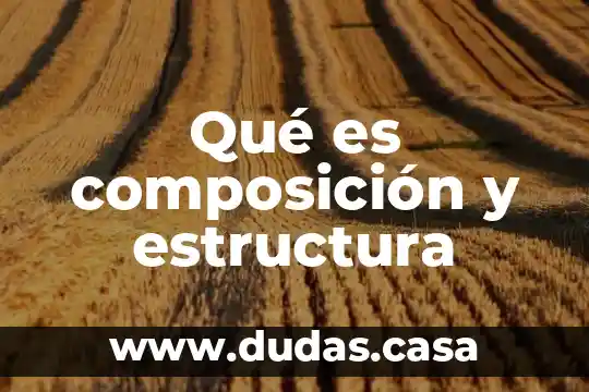 Qué es composición y estructura