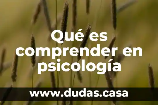 Qué es comprender en psicología
