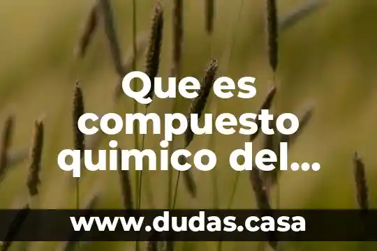 Que es compuesto quimico del agua definicion corta