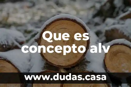 Que es concepto alv