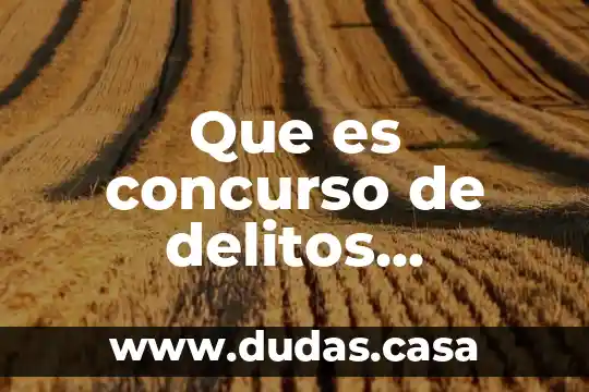 Que es concurso de delitos ejemplos mexico