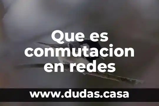 Que es conmutacion en redes