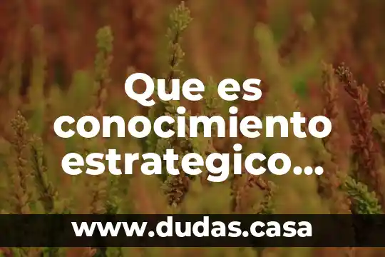 Que es conocimiento estrategico hacia el exterior