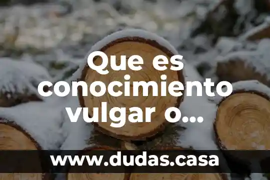 Que es conocimiento vulgar o cotidiano