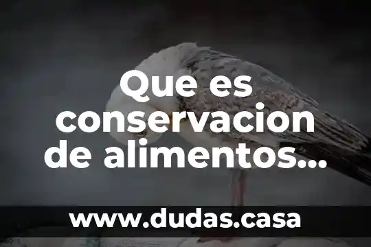 Que es conservacion de alimentos en sal