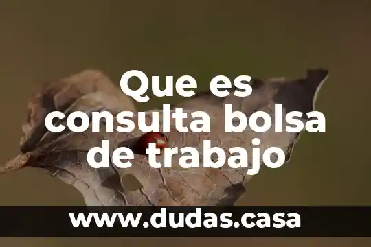 Que es consulta bolsa de trabajo