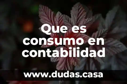 Que es consumo en contabilidad