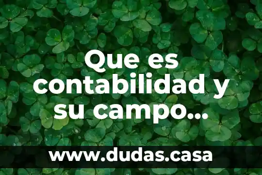 Que es contabilidad y su campo laboral