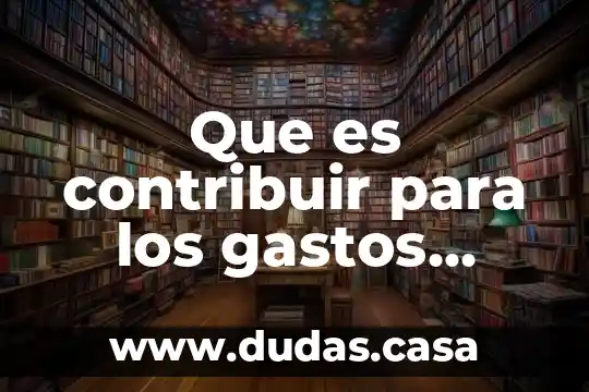 Que es contribuir para los gastos públicos