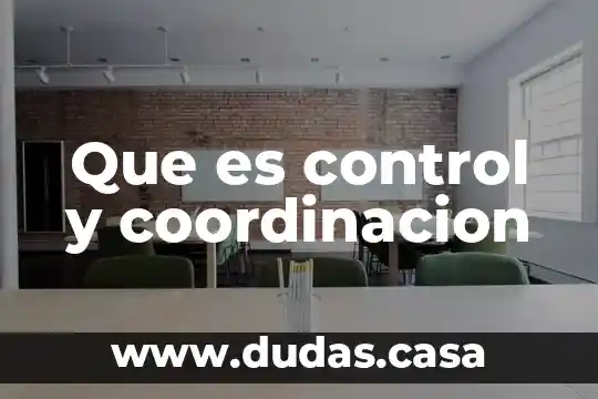 Que es control y coordinacion
