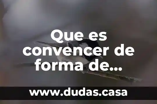 Que es convencer de forma de argumento