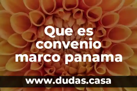 Que es convenio marco panama