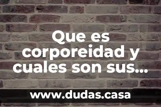 Que es corporeidad y cuales son sus elementos