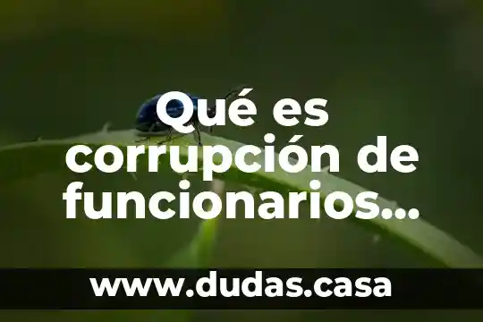 Qué es corrupción de funcionarios públicos
