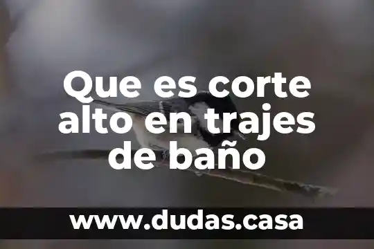 Que es corte alto en trajes de baño