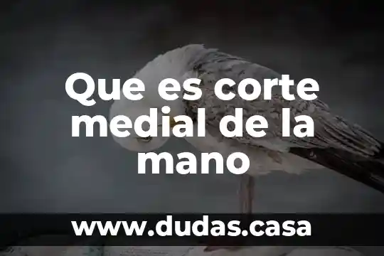 Que es corte medial de la mano