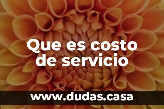 Que es costo de servicio