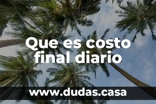 Que es costo final diario