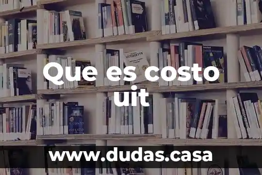 Que es costo uit