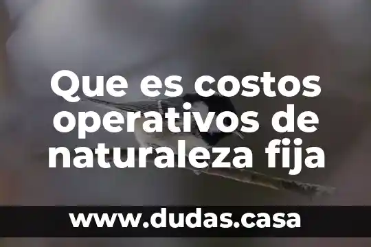 Que es costos operativos de naturaleza fija