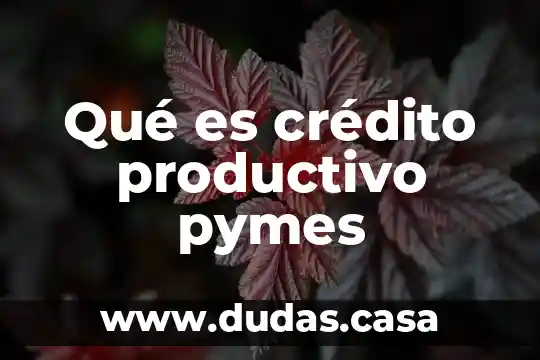 Qué es crédito productivo pymes