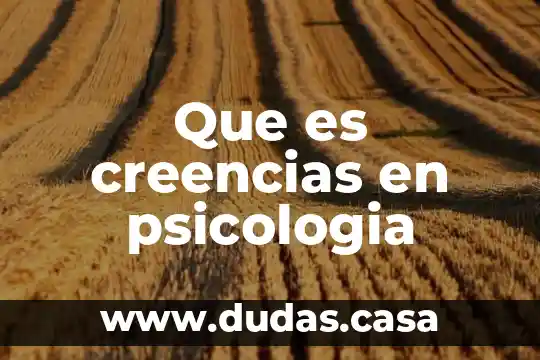 Que es creencias en psicologia
