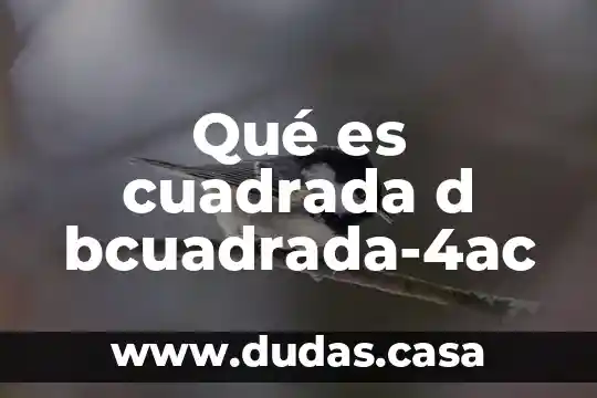 Qué es cuadrada d bcuadrada-4ac