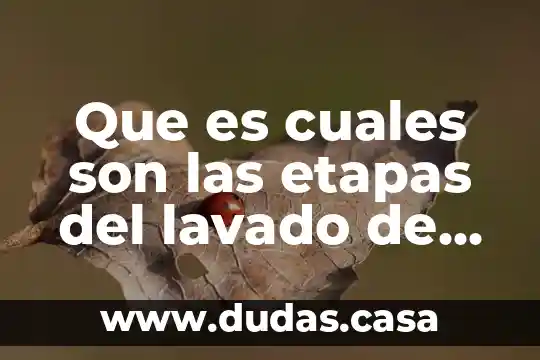 Que es cuales son las etapas del lavado de dinero