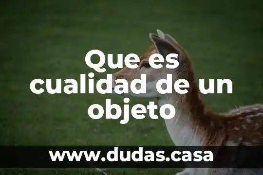 Que es cualidad de un objeto