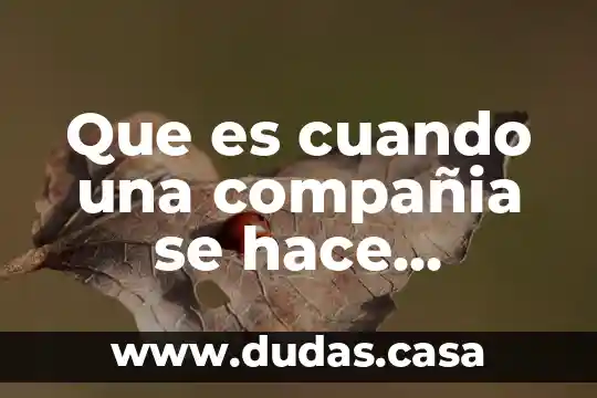 Que es cuando una compañia se hace publica