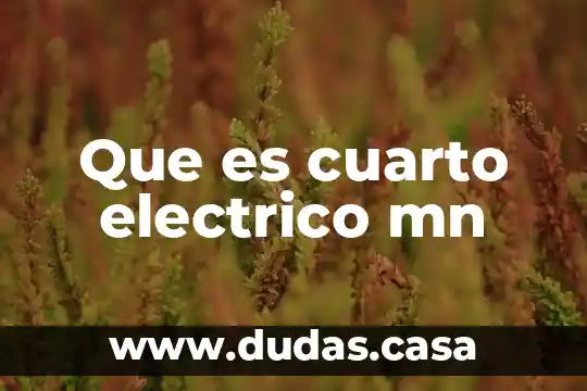 Que es cuarto electrico mn