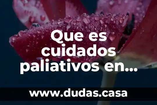 Que es cuidados paliativos en enfermeria
