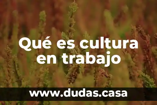 Qué es cultura en trabajo