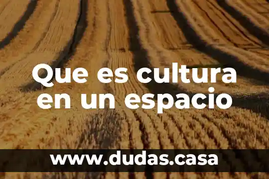Que es cultura en un espacio