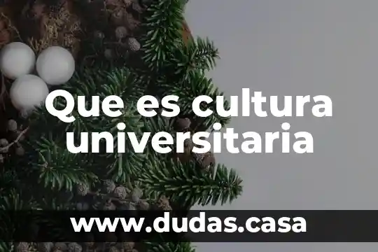 Que es cultura universitaria