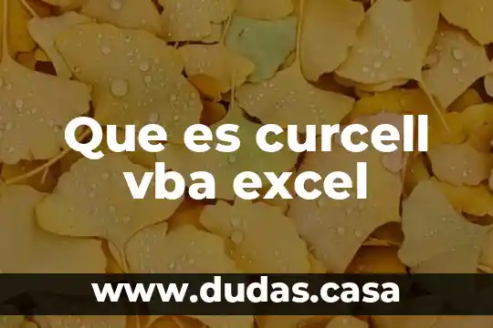 Que es curcell vba excel
