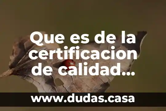 Que es de la certificacion de calidad ambiental turistica