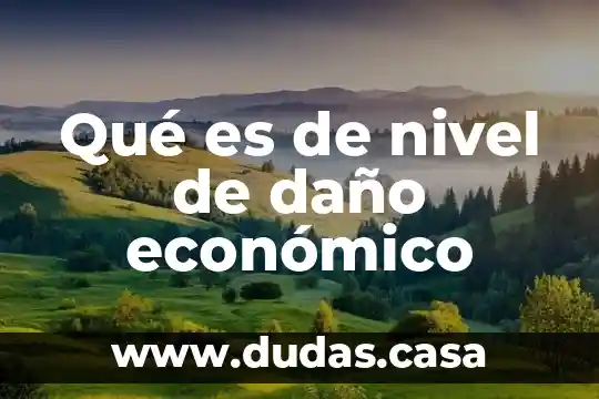 Qué es de nivel de daño económico