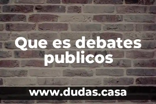 Que es debates publicos