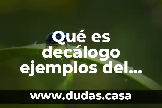 Qué es decálogo ejemplos del salón de escuela