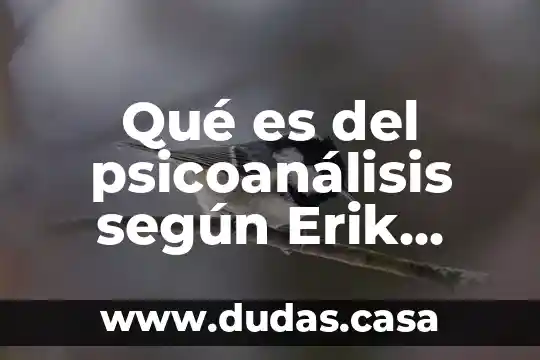 Qué es del psicoanálisis según Erik Erikson