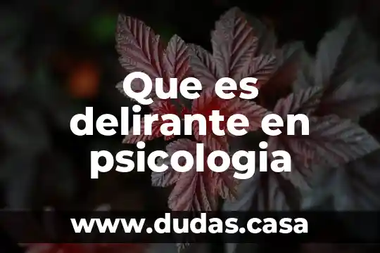 Que es delirante en psicologia
