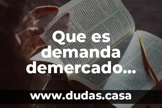 Que es demanda demercado segun jorge witker