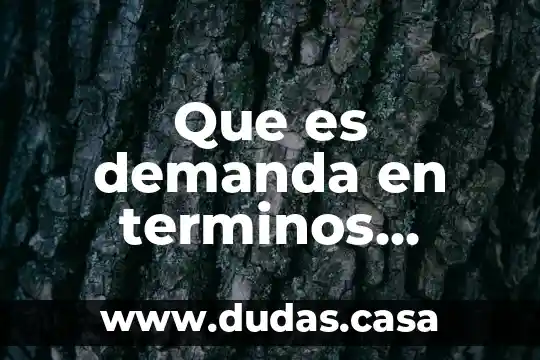 Que es demanda en terminos economicos