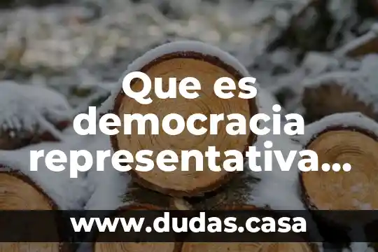 Que es democracia representativa y cuales son sus caracteristicas
