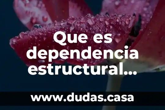 Que es dependencia estructural directa
