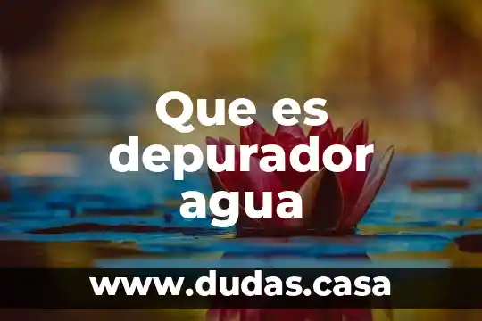 Que es depurador agua