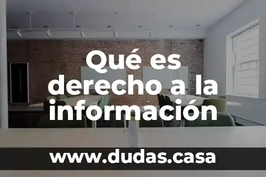 Qué es derecho a la información