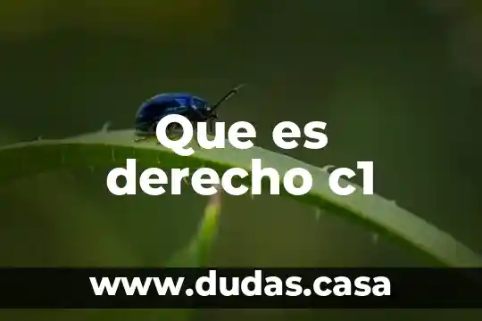 Que es derecho c1